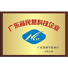 廣東省民營(yíng)科技